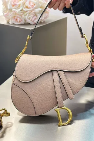 Dior Saddle