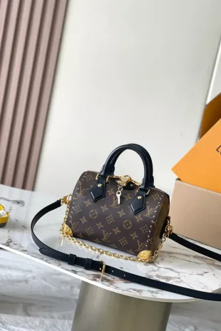 Louis Vuitton Speedy Trunk